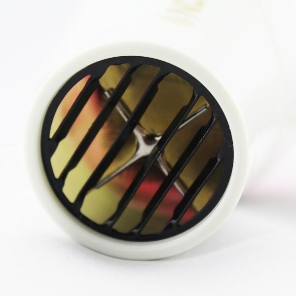 Professional Foldable Hair Dryer | 2 Speeds, 1000 Watt